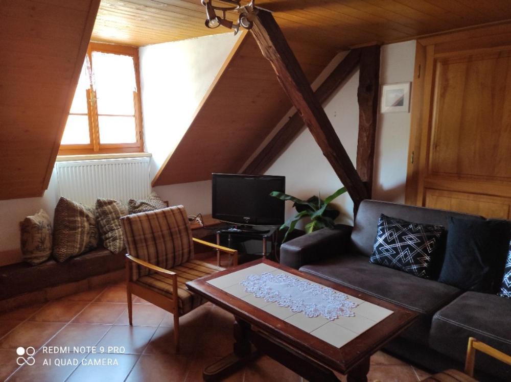 Apartman Pod Sribrnou Horou Lhenice Exterior foto